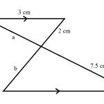 المثلثان أدناه متشابهان ما التبرير الصحيح لذلك